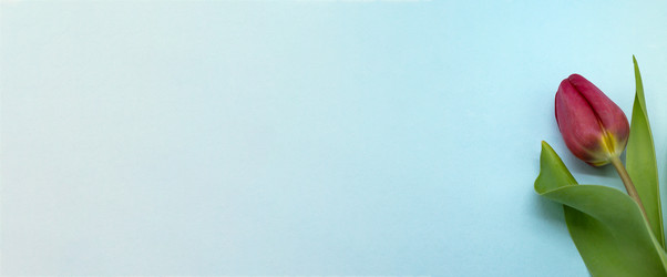 Similar image 21645249