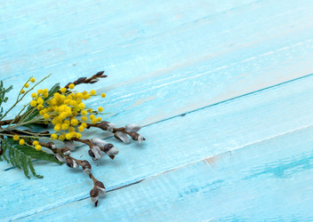 Similar image 21645255