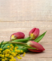 Similar image 21645378