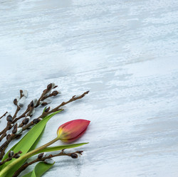 Similar image 21645380