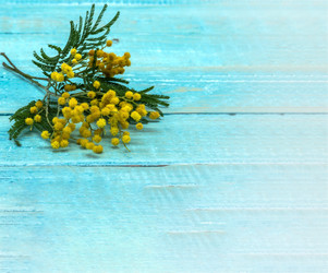 Similar image 21645381