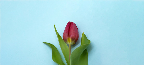 Similar image 21645477