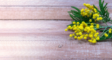 Similar image 21645478