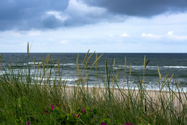 Similar image 21645636