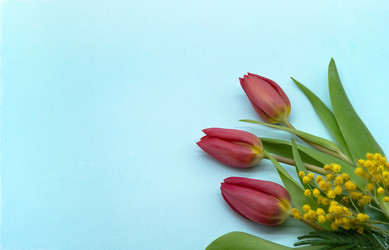 Similar image 21645637