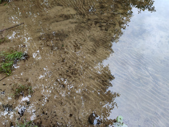 Similar image 21638077