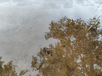 Similar image 21638079