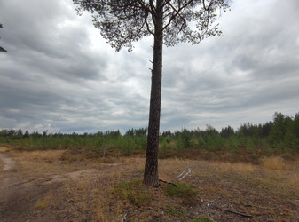 Similar image 21638083