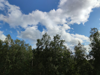 Similar image 21638085