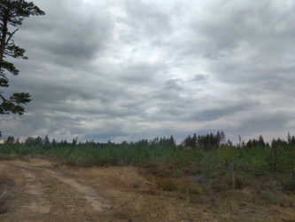 Similar image 21638087