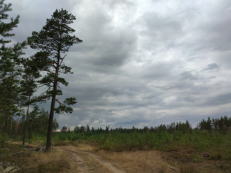 Similar image 21638088