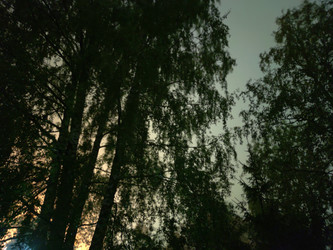 Similar image 21638091