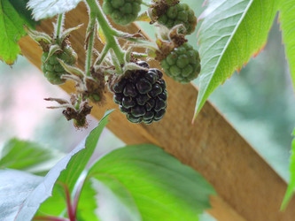 Similar image 21638093