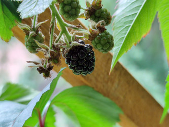 Similar image 21638094