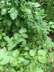 Similar image 21638095