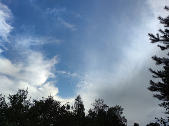 Similar image 21638099