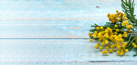 Similar image 21646019