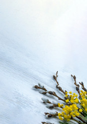 Similar image 21646033