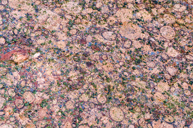 Similar image 21646038