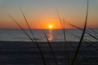 Similar image 21646049