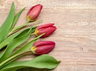 Similar image 21646050