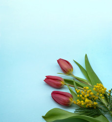 Similar image 21646051