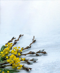 Similar image 21646052