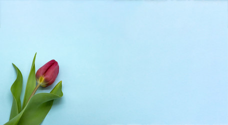 Similar image 21646053