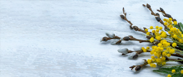 Similar image 21646054