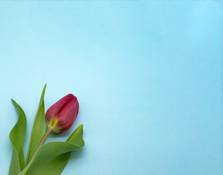 Similar image 21646057