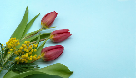 Similar image 21646059