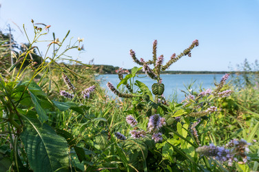 Similar image 21646060