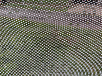 Similar image 21638117