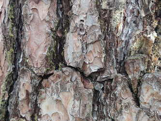 Similar image 21638119