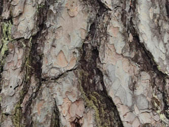 Similar image 21638120