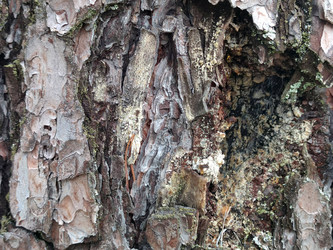 Similar image 21638124