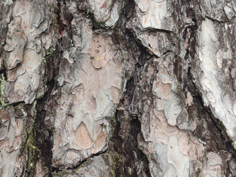 Similar image 21638125