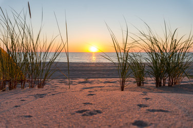 Similar image 21646063