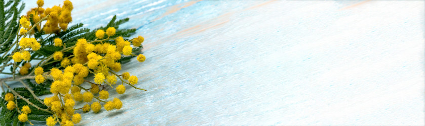 Similar image 21646064