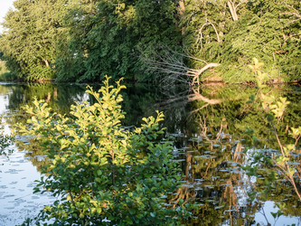 Similar image 21646066