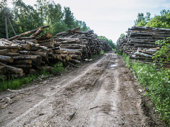 Similar image 21646250