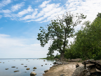 Similar image 21646253