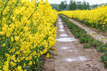 Similar image 21646256