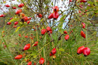 Similar image 21646263