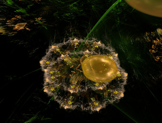 Similar image 21643931