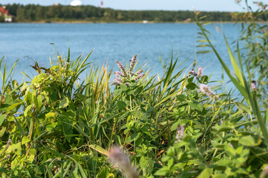 Similar image 21646527