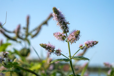 Similar image 21646529