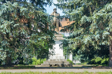 Similar image 21645261