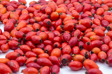 Similar image 21645387