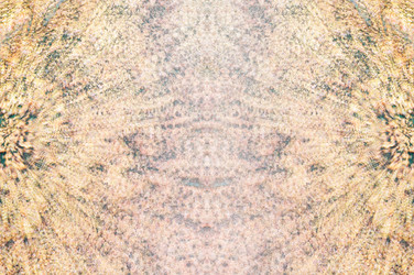 Similar image 21645483